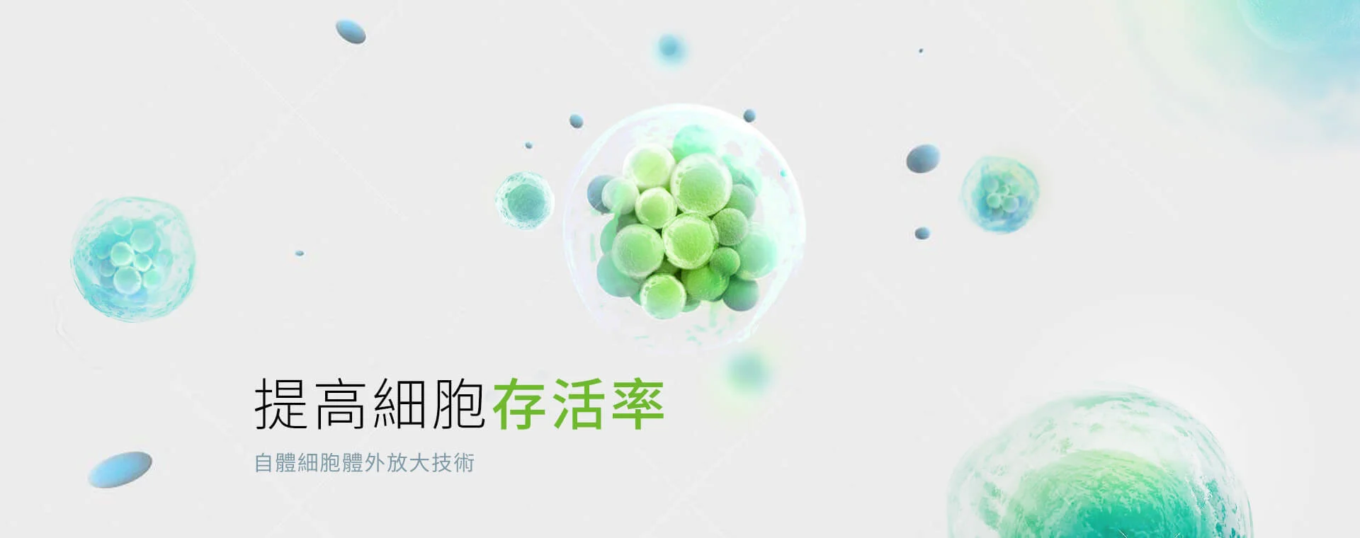 Photo 56 161500455216